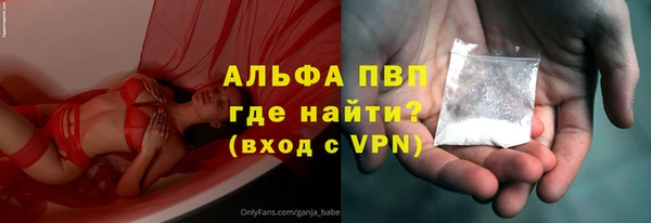PSILOCYBIN Волосово