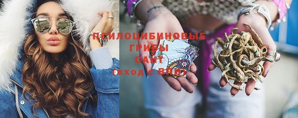 PSILOCYBIN Волосово