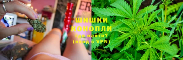 PSILOCYBIN Волосово