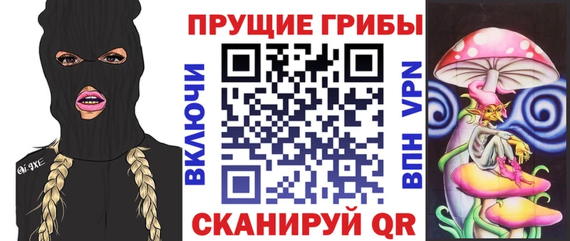 Псилоцибиновые грибы мицелий  купить наркотик  Зея 
