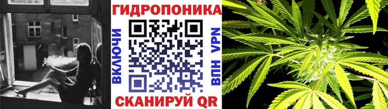 Каннабис ГИДРОПОН  гидра tor  Зея 